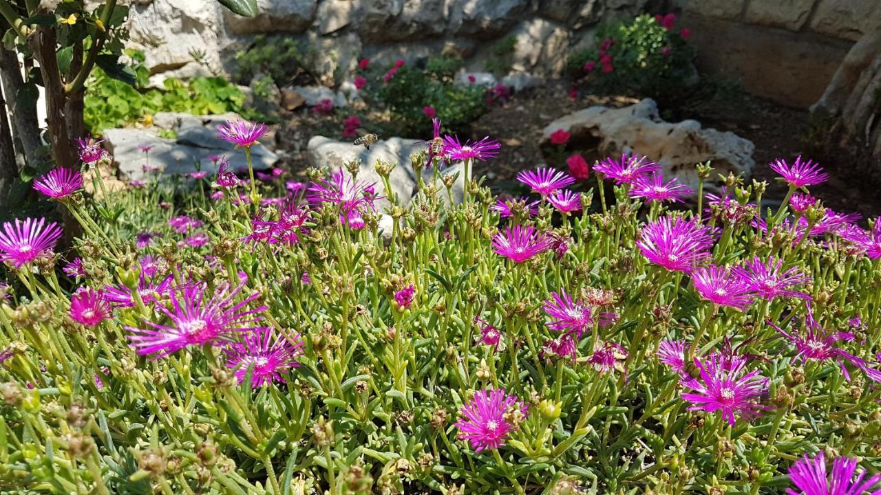 Apartments Gorana Crikvenica Luaran gambar
